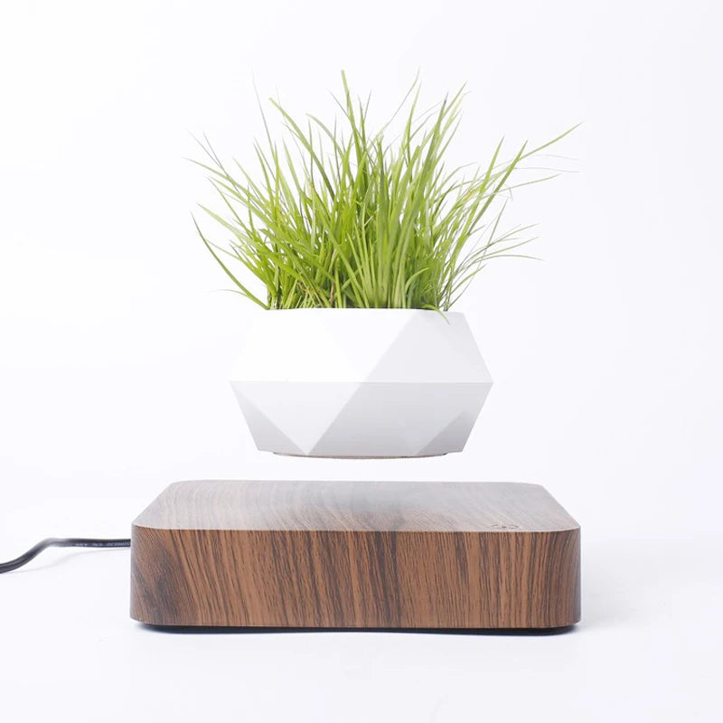 Magnetic Levitating Air Bonsai Pot