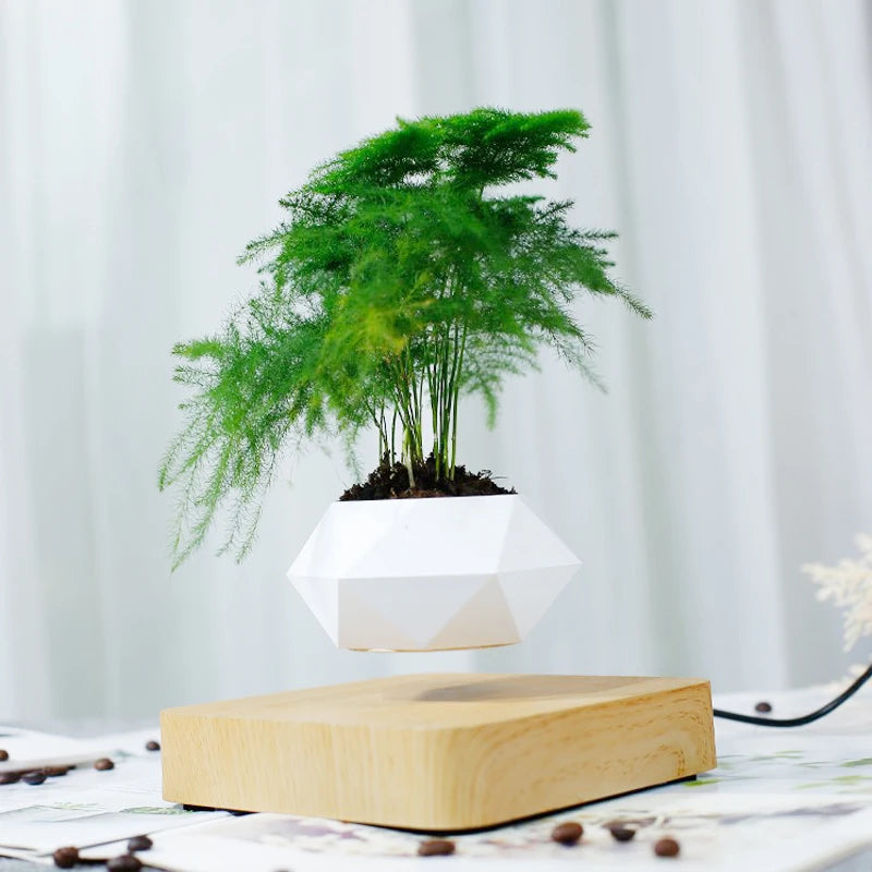 Magnetic Levitating Air Bonsai Pot