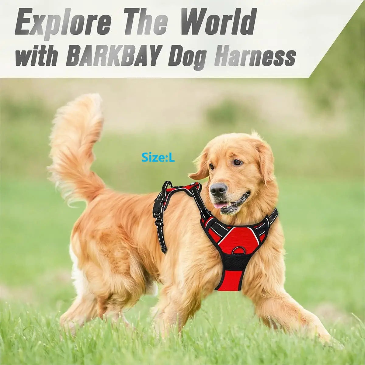 No-Pull Dog Harness with Front Clip