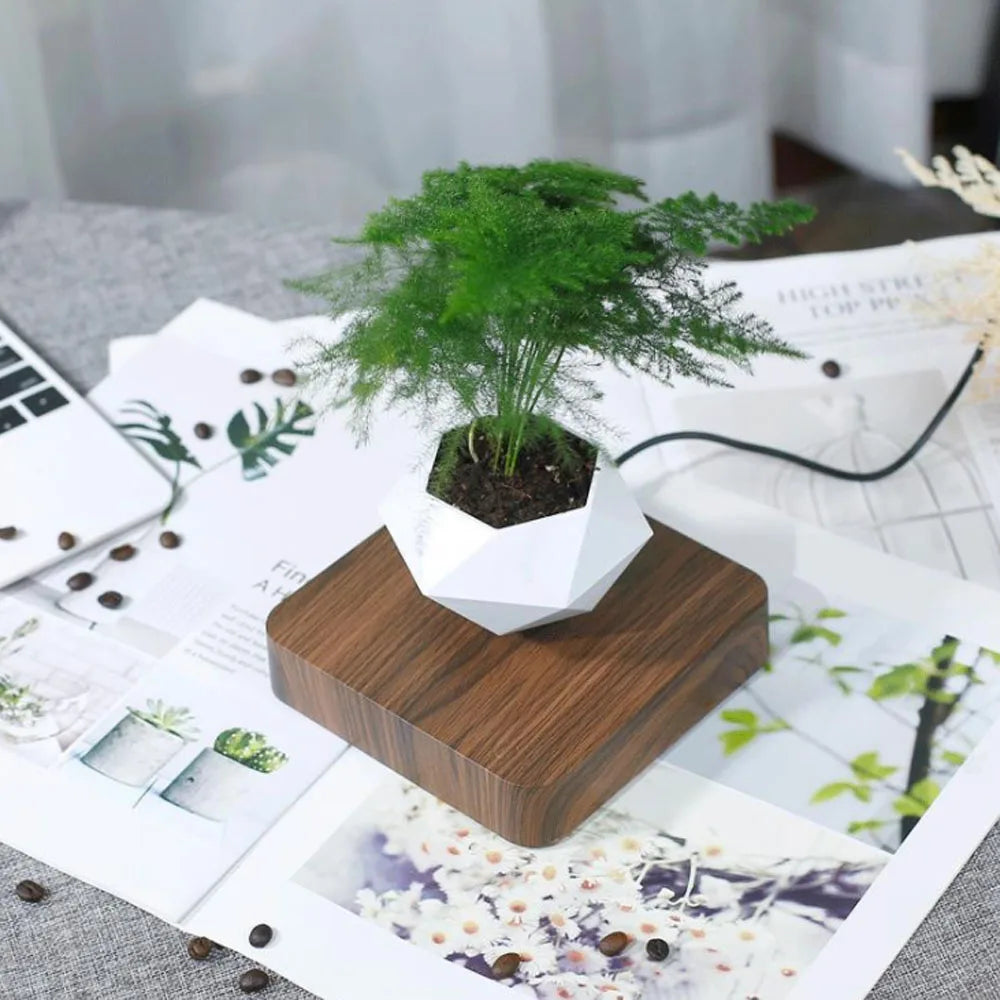 Magnetic Levitating Air Bonsai Pot