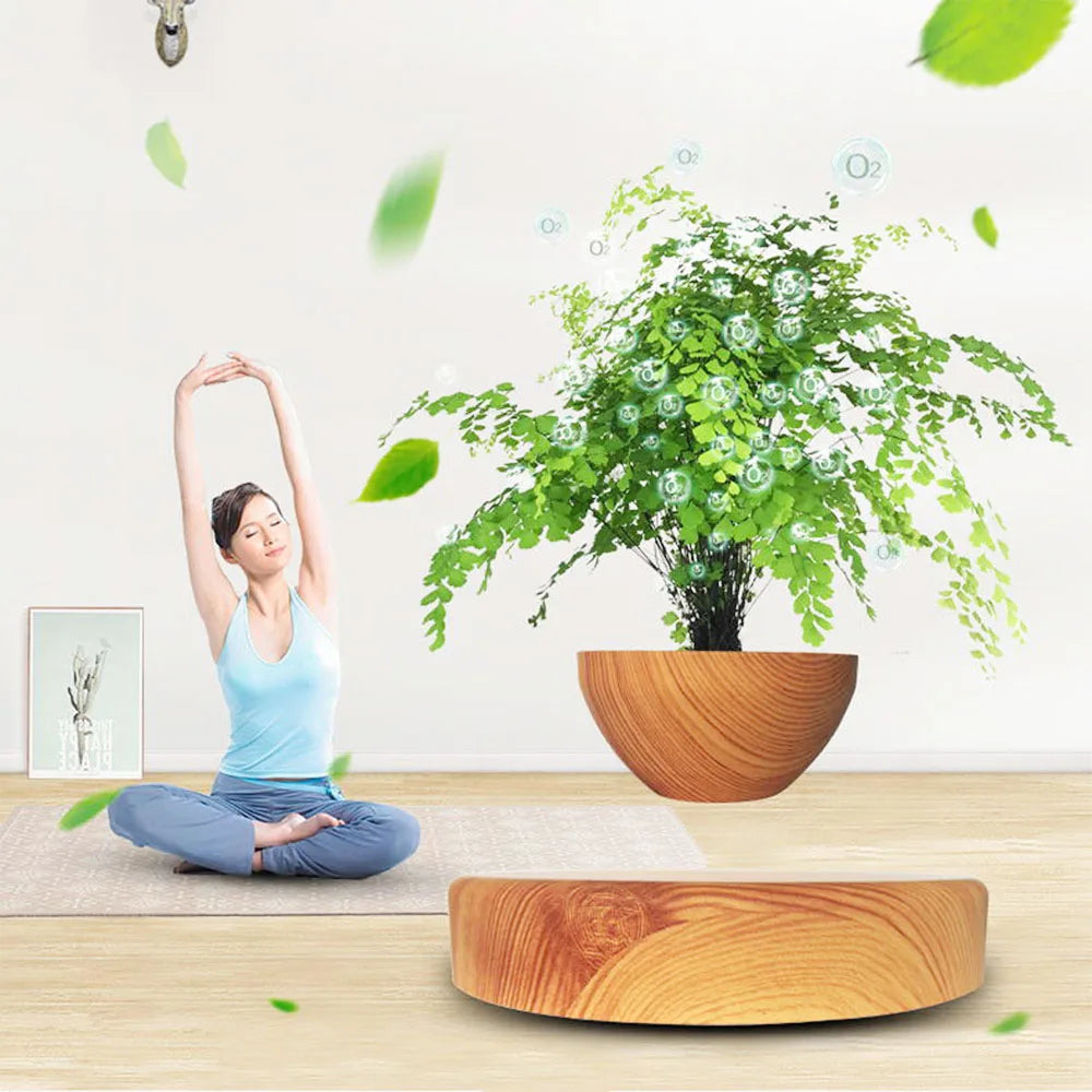 Magnetic Levitating Air Bonsai Pot