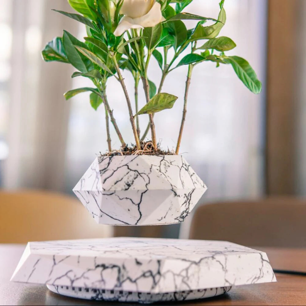Magnetic Levitating Air Bonsai Pot