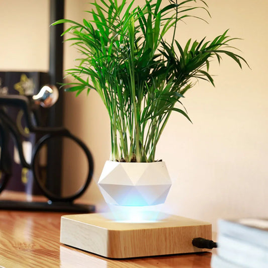 Magnetic Levitating Air Bonsai Pot