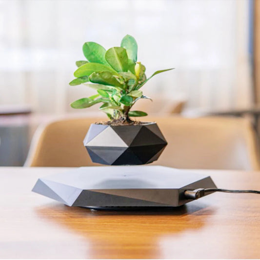 Magnetic Levitating Air Bonsai Pot